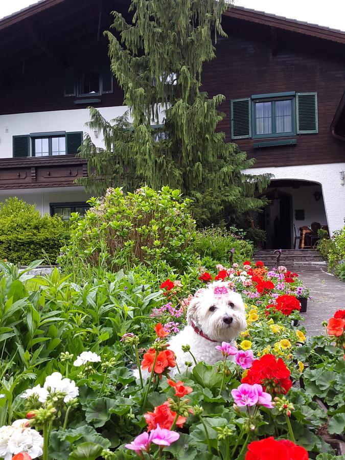 Haus Am Moos Bed & Breakfast ซาลซ์บูร์ก ภายนอก รูปภาพ